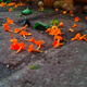 Illustration for article titled PhoTAYgraphy Club: Show us your Orange!